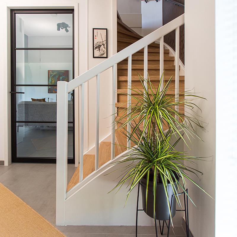 Trapkleur Natural Oak